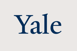 https://yaleidentity.yale.edu/sites/default/files/styles/max_width_320/public/2023-11/yale%20in%20gray%20box_0.png